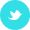 Twitter-icon